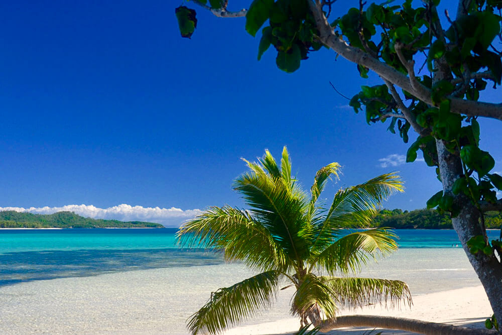 coconut-beach-resort-beach-daylight-palms