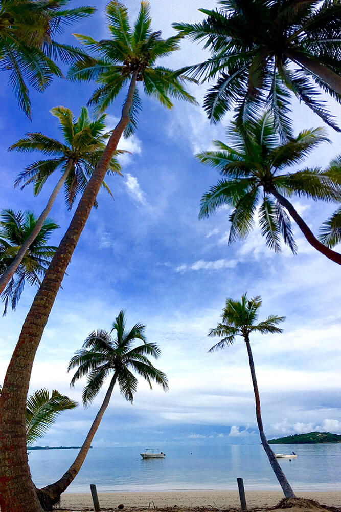 coconut-beach-resort-beach-framed-by-palm-trees
