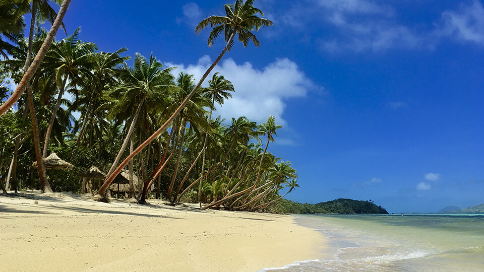 coconut-beach-resort-tropical-beach-fiji