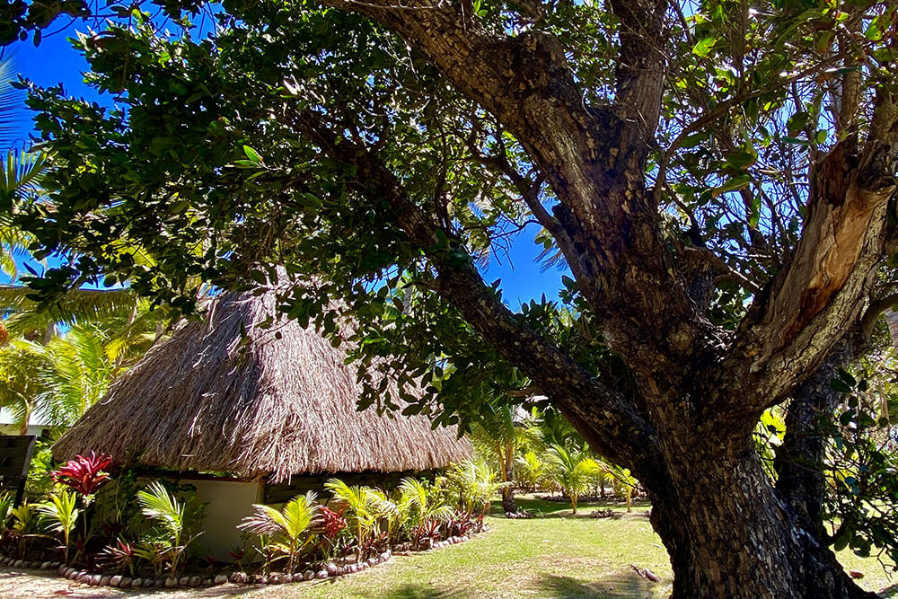 coconut-beach-resort-bures-tropical-luxury