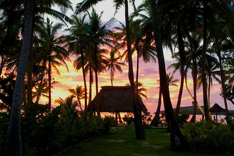 Gallery Coconut Beach Fiji