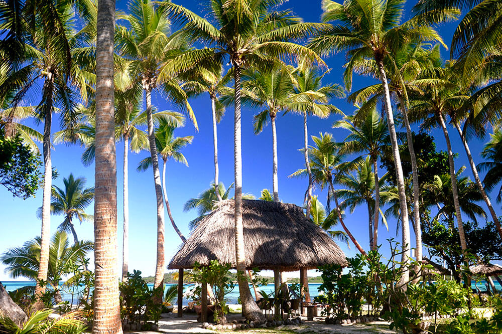 coconut-beach-resort-grounds-relax-rejuvinate