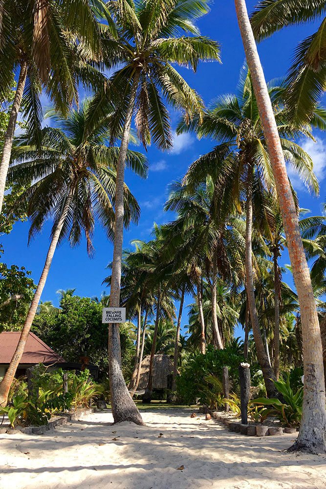 coconut-beach-resort-grounds-to-beach-01