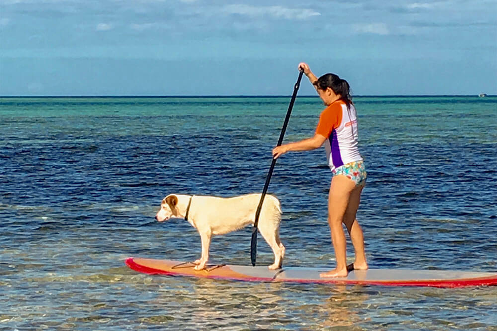 stand-up-paddle-board-coconut-beach-resorts